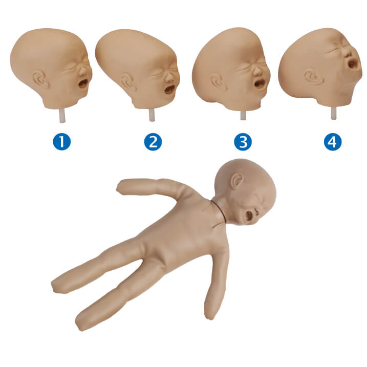 ar55-fetal-doll-with-four-interchangeable-heads-primemed-medical